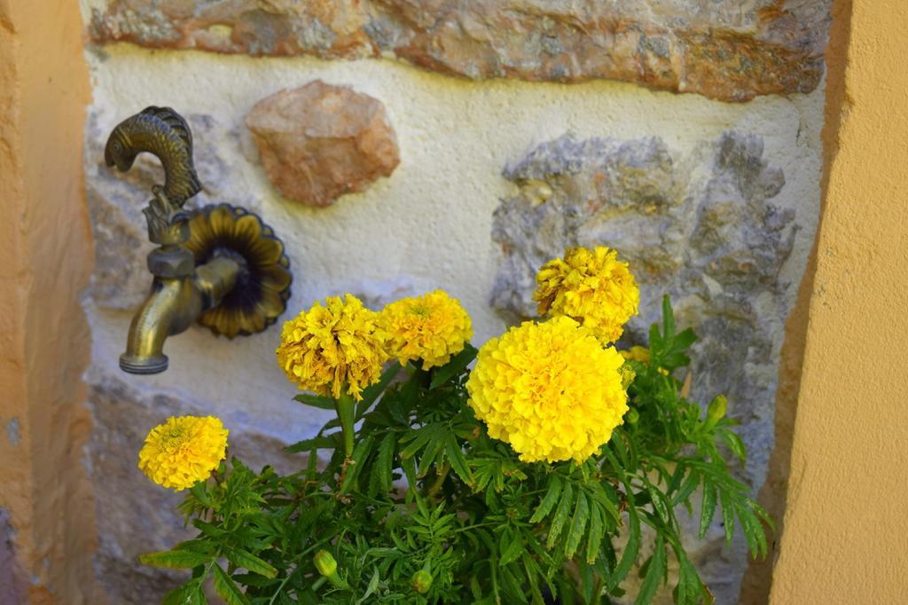 Tilemachos Traditional House Villa Vathí - Ítaca Exterior foto